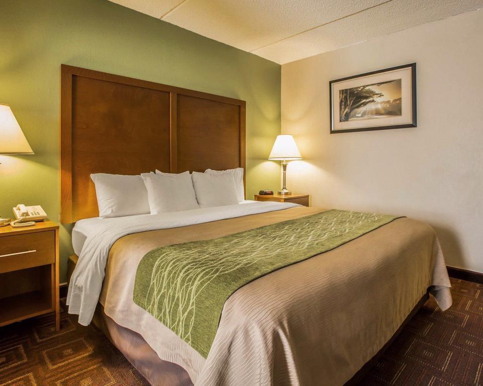 Comfort Inn Asheville Airport Fletcher Eksteriør billede