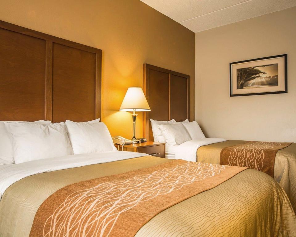 Comfort Inn Asheville Airport Fletcher Eksteriør billede